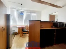 Pronájem bytu 1+1, České Budějovice, J. Buděšínského, 38 m2