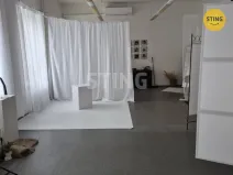 Pronájem komerční nemovitosti, Havířov, Dělnická, 97 m2