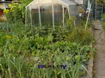 Prodej zahrady, Podbořany, Sídliště Míru, 200 m2