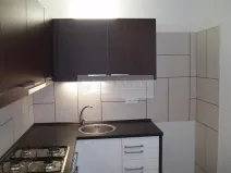 Pronájem bytu 1+1, Chomutov, Haškova, 30 m2