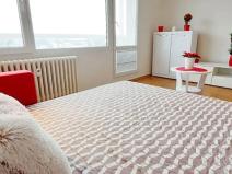 Pronájem bytu 1+kk, Brno, Sevastopolská, 38 m2