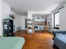 Pronájem bytu 1+kk, Praha - Karlín, Šaldova, 43 m2