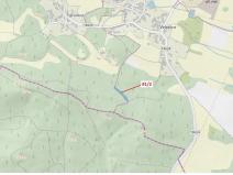 Dražba lesa, Pačejov, 1363 m2