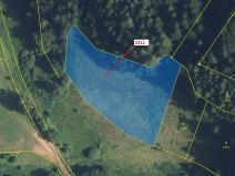 Dražba louky, Písečná, 3051 m2