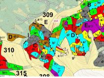 Dražba lesa, Písečná, 548 m2