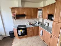 Pronájem bytu 1+1, Olomouc - Nová Ulice, Okružní, 26 m2