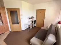 Pronájem bytu 1+1, Olomouc - Nová Ulice, Okružní, 26 m2