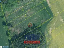 Prodej lesa, Sepekov, 2934 m2