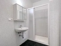 Pronájem bytu 1+kk, Brno, Libušino údolí, 17 m2