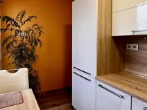 Pronájem bytu 2+1, Ostrava - Poruba, Jasmínová, 53 m2