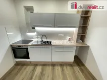 Pronájem bytu 2+kk, Praha - Žižkov, Biskupcova, 48 m2