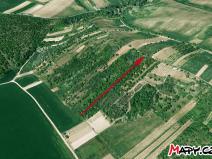 Prodej sadu/vinice, Velké Němčice, 3259 m2