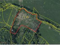 Prodej lesa, Přeckov, 87000 m2