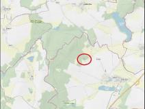 Prodej lesa, Ústrašín, 1179 m2