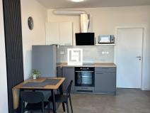 Pronájem bytu 1+kk, Olomouc, Aloise Rašína, 31 m2