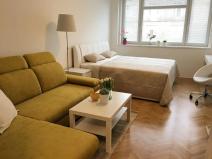 Pronájem bytu 2+kk, Brno, Bayerova, 48 m2