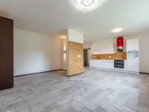 Pronájem bytu 1+kk, Plzeň - Bolevec, Plaská, 51 m2