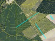 Prodej pole, Rosice, 76171 m2