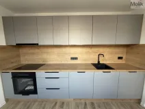 Pronájem bytu 2+1, Most, Maxe Švabinského, 54 m2