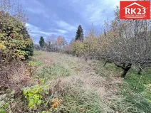 Prodej pozemku pro bydlení, Stráž - Olešná, 994 m2