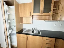 Pronájem bytu 2+1, České Budějovice, U Lesa, 46 m2