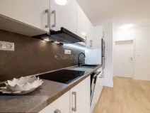 Pronájem bytu 2+kk, Brno, Auerswaldova, 51 m2