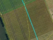 Prodej pole, Dolní Bojanovice, 8368 m2