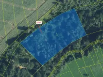 Dražba lesa, Nové Hrady, 7263 m2