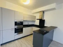 Pronájem bytu 1+kk, Brno - Slatina, Kigginsova, 42 m2