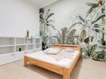 Pronájem bytu 2+kk, Praha - Karlín, Prvního pluku, 55 m2