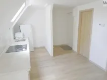 Pronájem bytu 2+kk, Litvínov - Horní Litvínov, Mánesova, 45 m2