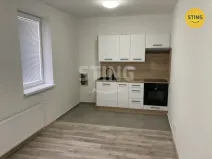 Pronájem bytu 1+kk, Opava, Hviezdoslavova, 25 m2