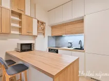 Pronájem bytu 2+kk, Brno, Přadlácká, 49 m2