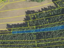 Prodej lesa, Lišany, 5889 m2