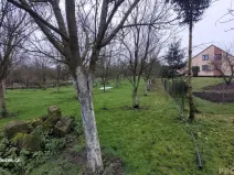 Prodej pozemku pro bydlení, Dub nad Moravou - Bolelouc, 1000 m2