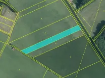 Dražba louky, Borkovice, 5563 m2