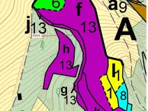 Dražba lesa, Bouzov, 1158 m2