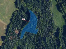 Dražba lesa, Bouzov, 2554 m2