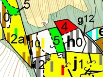 Dražba lesa, Benešov u Semil, 6213 m2