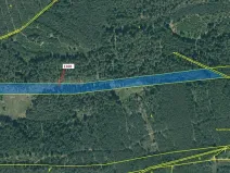 Dražba lesa, Jesenice, 12984 m2