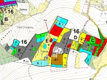 Dražba lesa, Nové Dvory, 81658 m2
