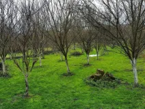 Prodej pozemku pro bydlení, Dub nad Moravou - Bolelouc, 1000 m2