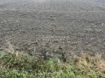 Prodej pole, Tovačov, 3529 m2