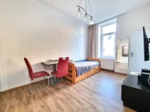 Pronájem bytu 1+kk, České Budějovice - České Budějovice 3, Nová, 26 m2