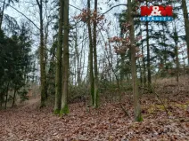 Prodej lesa, Krašlovice, 9178 m2