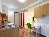 Pronájem bytu 1+kk, Brno, Teslova, 20 m2