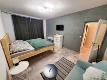 Pronájem bytu 1+1, Ostrava - Slezská Ostrava, Bohumínská, 38 m2