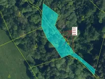 Dražba lesa, Benešov u Semil, 1649 m2