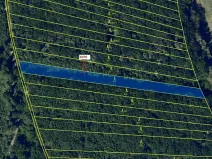 Dražba lesa, Archlebov, 2892 m2