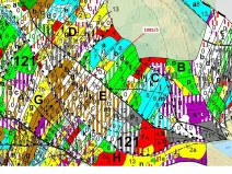 Dražba lesa, Veverské Knínice, 3926 m2